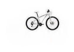 Diamondback AXS20WHG 29/20 Hard Tail Mountain Bike Mens